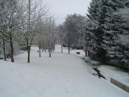 dans mon quartier
