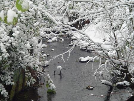 ruisseau a cot� de chez moi