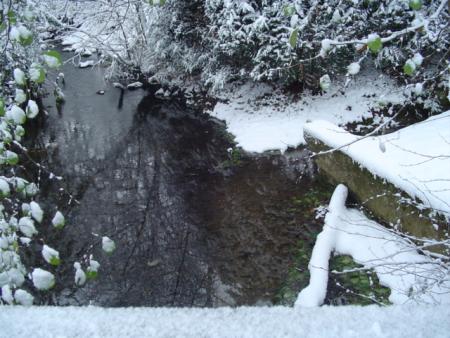 ruisseau a cot� de chez moi