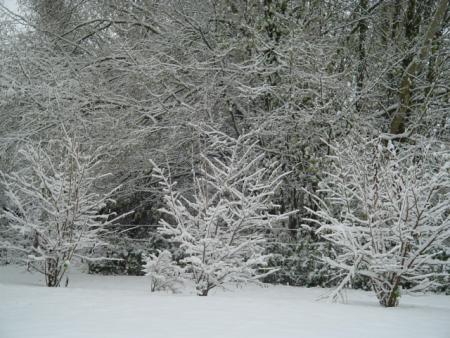 dans mon quartier