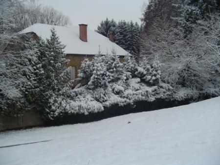 dans mon quartier