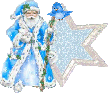 etoiles des neiges