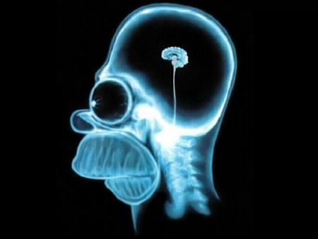 y parait que j ai le meme cerveau