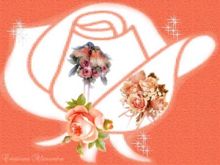 pour vous mesdames