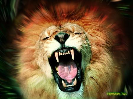 le roi des animaux