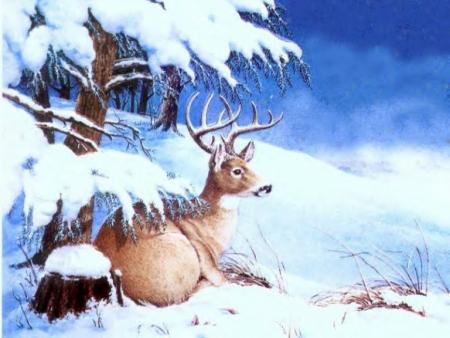 paysage hivernal