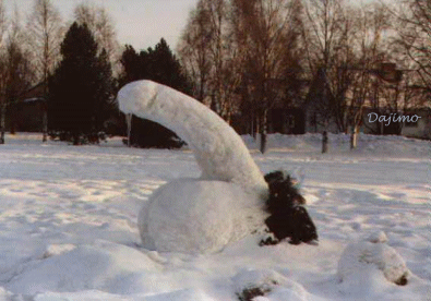 canon a boules de neige