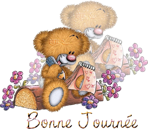 sont trot mignon mes nounours