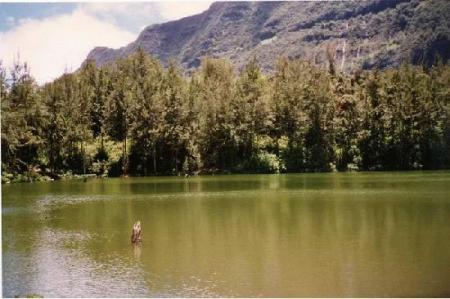 Sur la rivi�re de l'amiti�