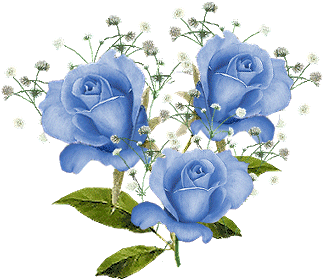 l'amour de la rose