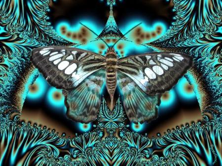 papillon