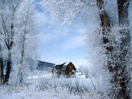 l'hiver