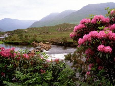 tres beaux paysage